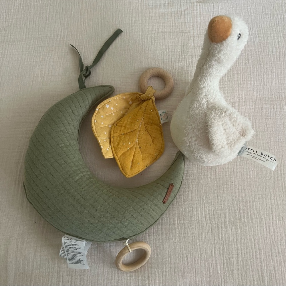Little Dutch toy bundle
